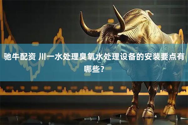 驰牛配资 川一水处理臭氧水处理设备的安装要点有哪些？