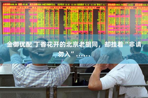 金御优配 丁香花开的北京老胡同，却挂着“非请勿入”……