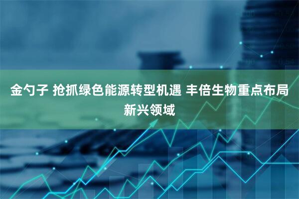 金勺子 抢抓绿色能源转型机遇 丰倍生物重点布局新兴领域